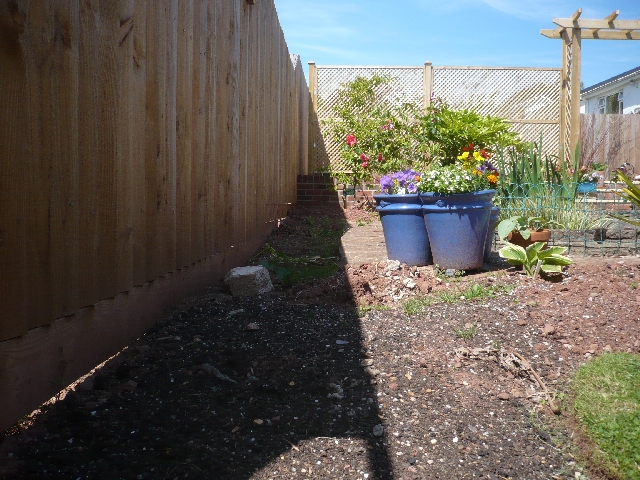 Area Behind Pond Before Landscaping.