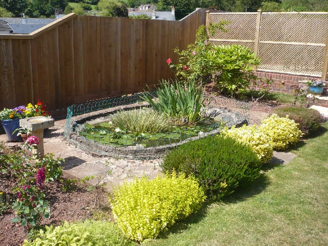 Pond Area Before Landscaping.