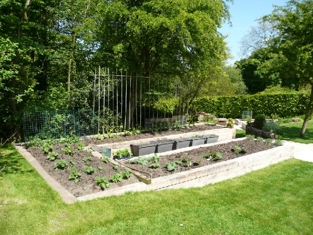 Raised Oak Planters Replace the Existing Vegatable Garden.