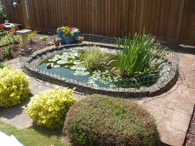 Pond Before Landscaping Works.