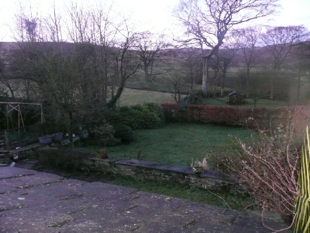 Garden Before Landscaping.