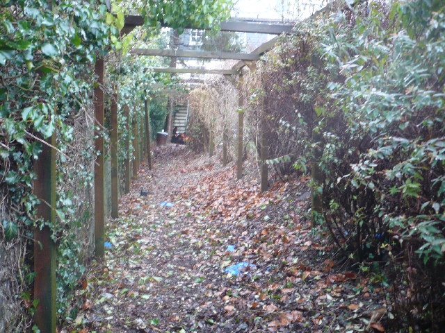 View from Lower Garden Before Construction of Retaining Wall and Path