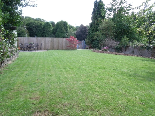 Lawn After Landscaping Work.