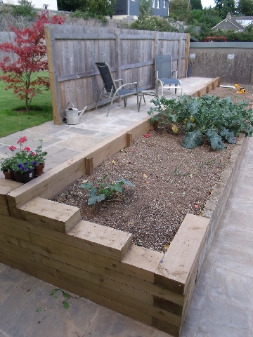 Raised Vegatable Planter.