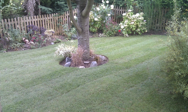 Turfed Lawn.