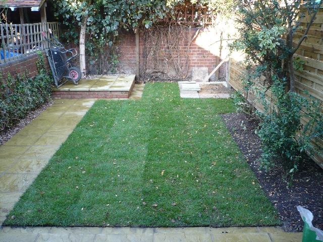 turf laying